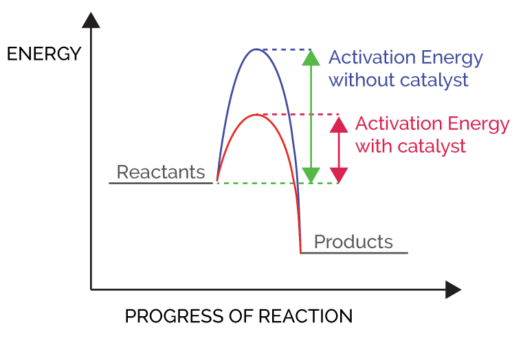 Catalysis